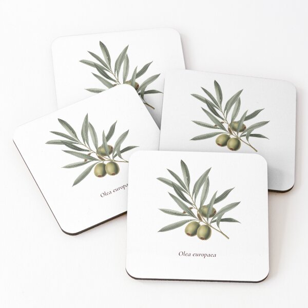 Item preview, Olive Branch Botanical T-Shirt | Olea europaea Vintage Illustration | Mediterranean Gift designed and sold by Panom Suavichien.