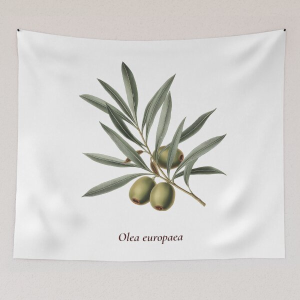 Item preview, Olive Branch Botanical T-Shirt | Olea europaea Vintage Illustration | Mediterranean Gift designed and sold by Panom Suavichien.