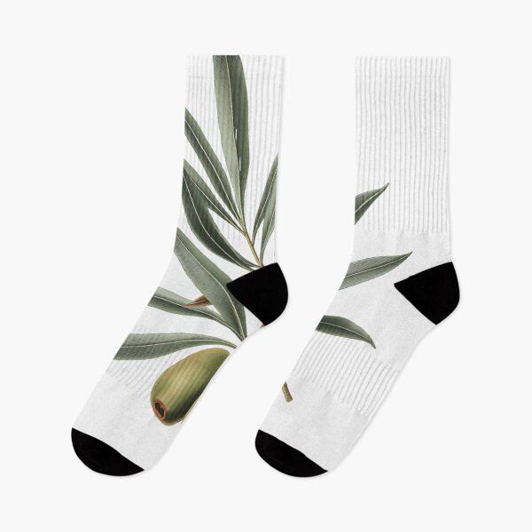 Item preview, Olive Branch Botanical T-Shirt | Olea europaea Vintage Illustration | Mediterranean Gift designed and sold by Panom Suavichien.