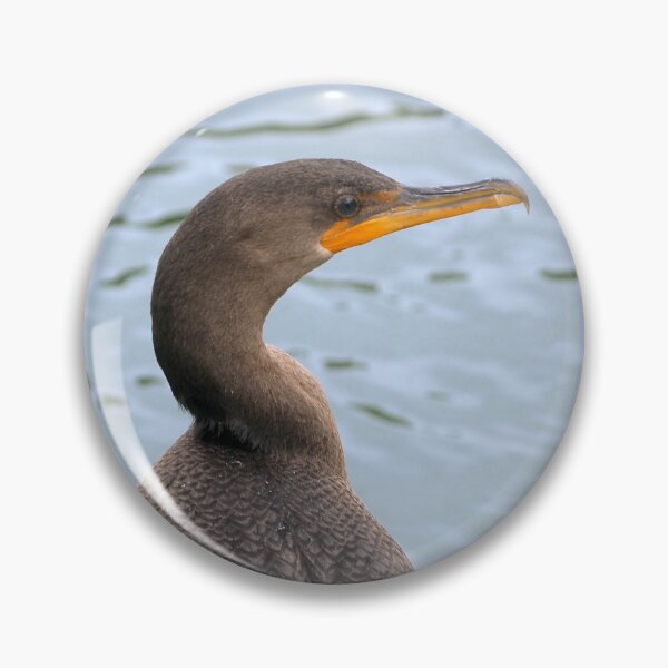Item preview, Double-crested Cormorant Up Close designed and sold by BackyardBirder.