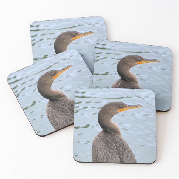 Item preview, Double-crested Cormorant Up Close designed and sold by BackyardBirder.