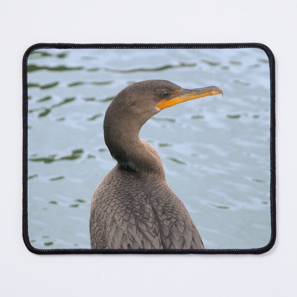 Item preview, Double-crested Cormorant Up Close designed and sold by BackyardBirder.