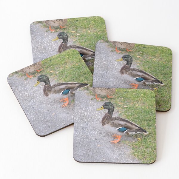 Item preview, Male Mallard Duck at The Park designed and sold by BackyardBirder.