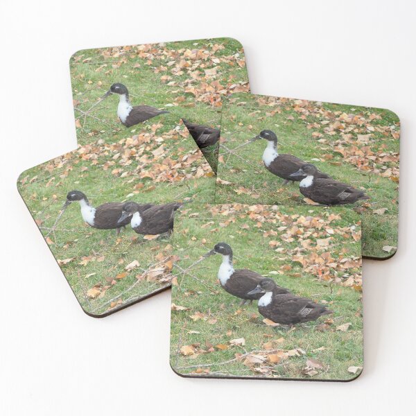 Item preview, Two Fancy Brown Colored Ducks designed and sold by BackyardBirder.