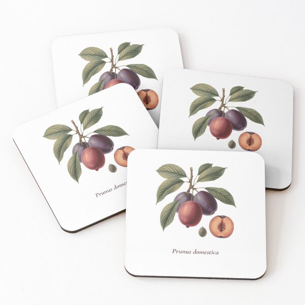 Item preview, Plum Botanical T-Shirt | Prunus domestica Vintage Illustration | Fruit Lover Gift designed and sold by Panom Suavichien.