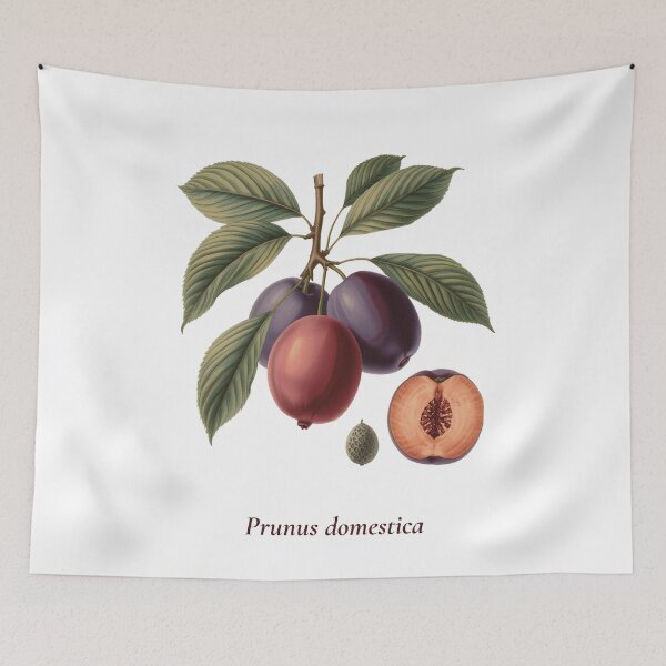Item preview, Plum Botanical T-Shirt | Prunus domestica Vintage Illustration | Fruit Lover Gift designed and sold by Panom Suavichien.
