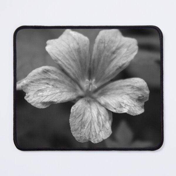 Item preview, Ethereal Bloom: Monochromatic Geranium Close-Up designed and sold by ShaneJayGB.