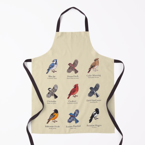 Item preview, Vintage Bird Identification Chart designed and sold by Dweeb123.