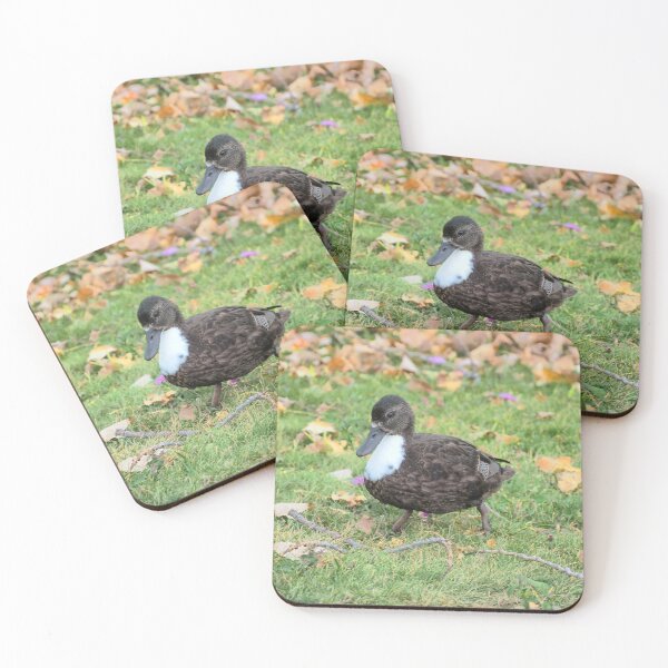 Item preview, Dark Brown Duck designed and sold by BackyardBirder.