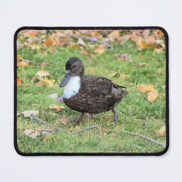 Item preview, Dark Brown Duck designed and sold by BackyardBirder.