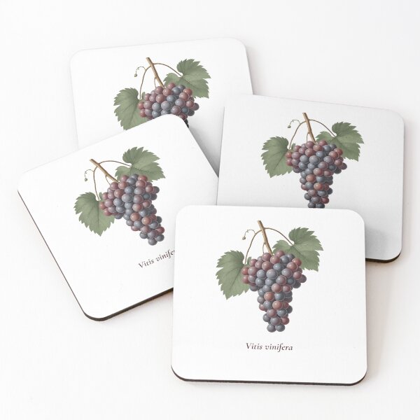 Artikelvorschau, Botanisches T-Shirt mit Traubenmotiv | Vintage-Illustration der Weinrebe (Vitis vinifera) | Geschenk für Weinliebhaber entworfen und verkauft von Panom Suavichien.