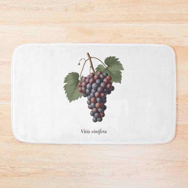 Item preview, Grape Botanical T-Shirt | Vitis vinifera Vintage Illustration | Wine Lover Gift designed and sold by Panom Suavichien.