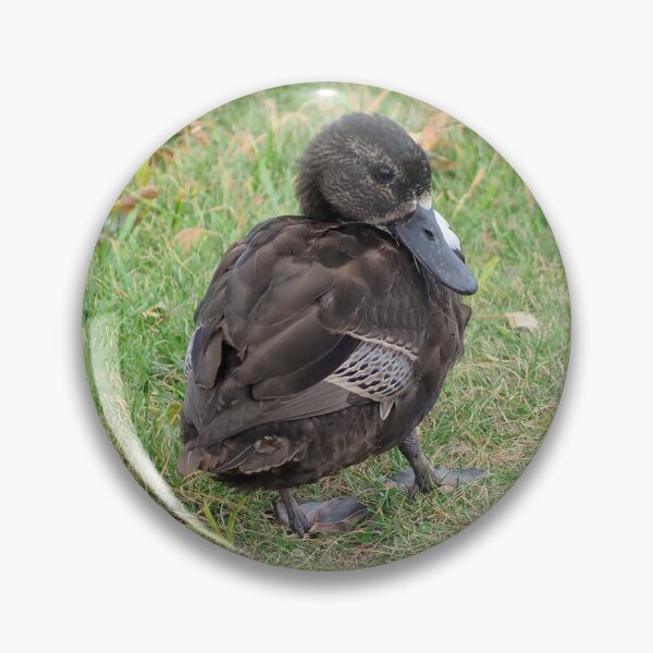 Item preview, Cute Brown Duck designed and sold by BackyardBirder.