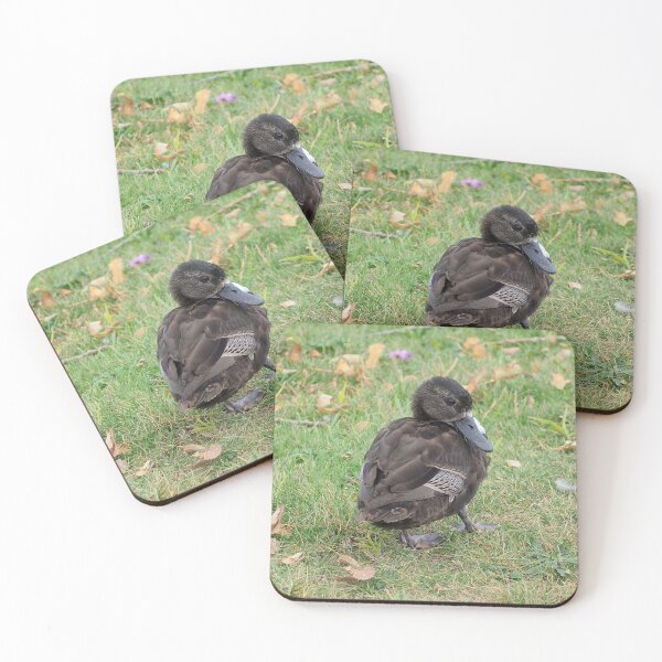 Item preview, Cute Brown Duck designed and sold by BackyardBirder.