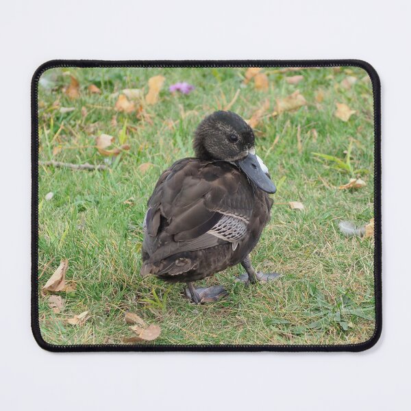 Item preview, Cute Brown Duck designed and sold by BackyardBirder.