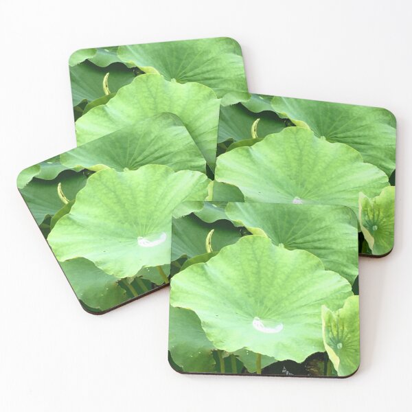 Item preview, Lotus Leaf with Water Droplet – Zen Nature Photography designed and sold by TexSta.