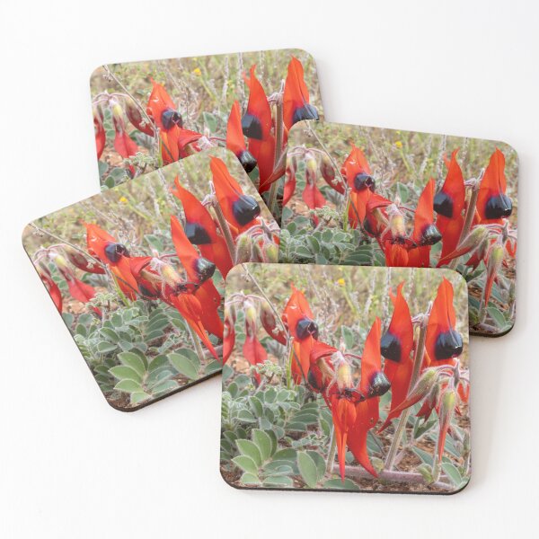 Item preview, Sturt's Desert Pea designed and sold by Nightscapes.