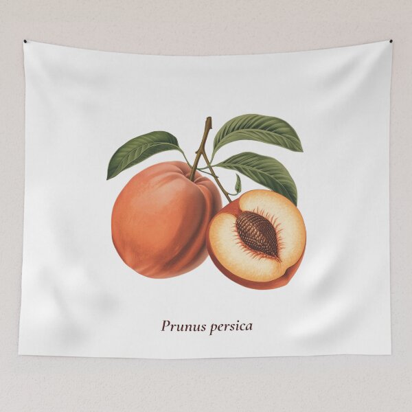 Item preview, Peach Botanical T-Shirt | Prunus persica Vintage Illustration | Fruit Lover Gift designed and sold by Panom Suavichien.