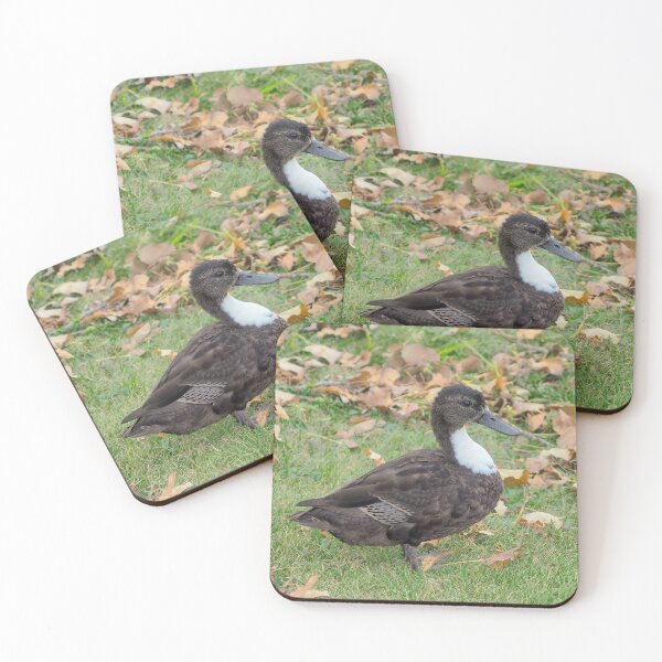 Item preview, Brown Duck Standing on The Grass designed and sold by BackyardBirder.