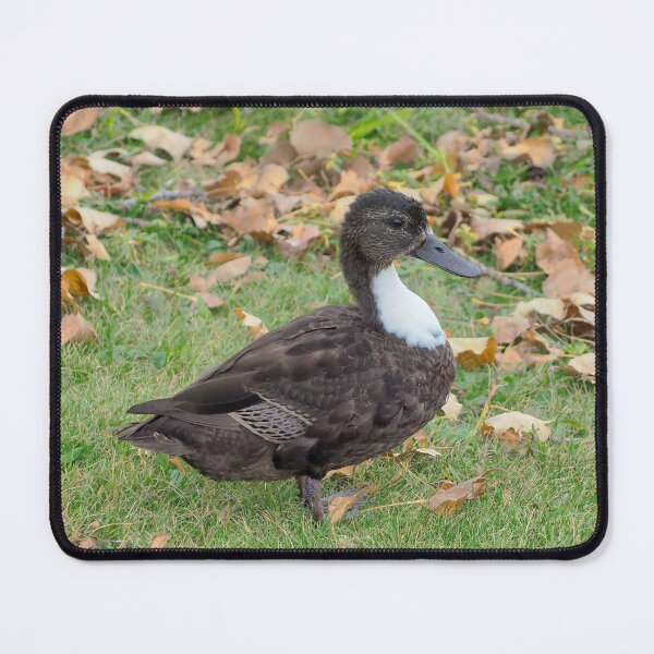 Item preview, Brown Duck Standing on The Grass designed and sold by BackyardBirder.
