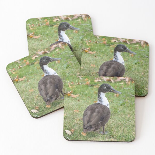 Item preview, Brown Duck Posing In The Grass designed and sold by BackyardBirder.