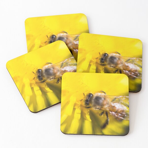 Item preview, Bee on a Dandelion designed and sold by lifeinpinkcrochet.