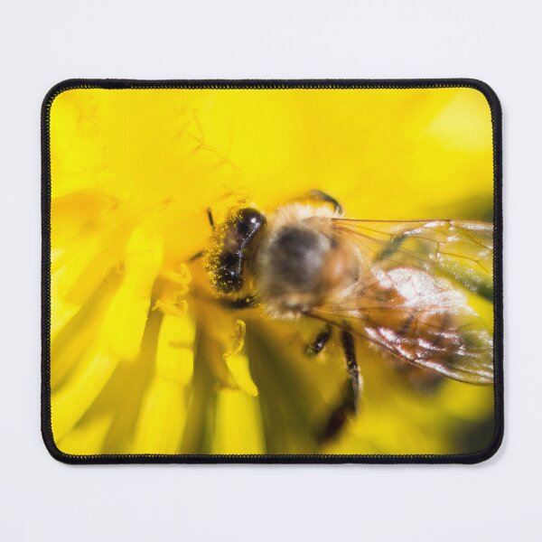 Item preview, Bee on a Dandelion designed and sold by lifeinpinkcrochet.
