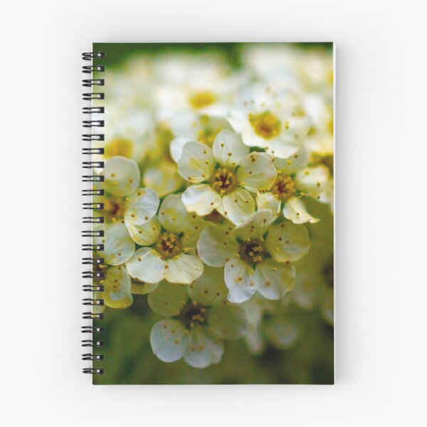 Item preview, Field of Silence | White Blossom Macro Texture designed and sold by DrTol.