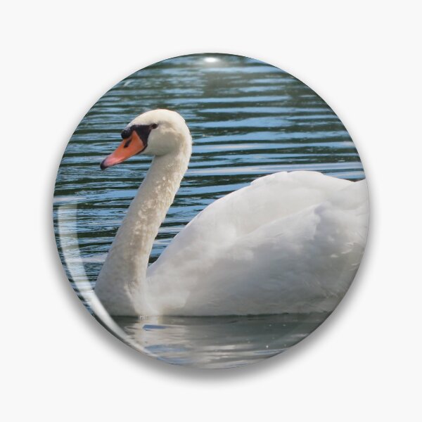 Item preview, A Beautiful Mute Swan Swimming In a Pond designed and sold by BackyardBirder.