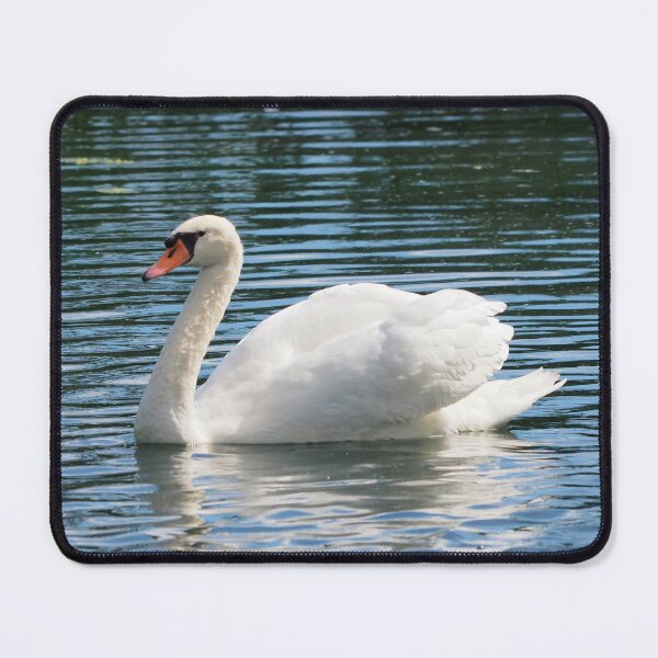 Item preview, A Beautiful Mute Swan Swimming In a Pond designed and sold by BackyardBirder.