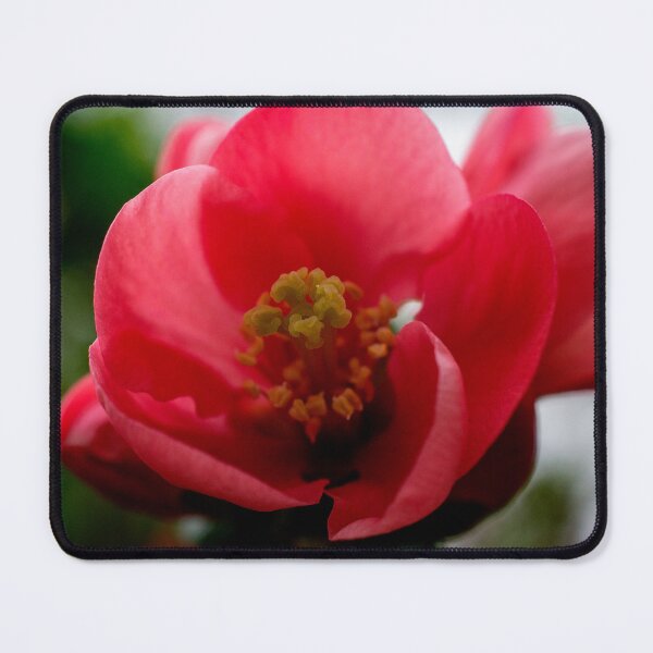 Item preview, Crimson Whisper | Red Blossom Macro Elegance designed and sold by DrTol.