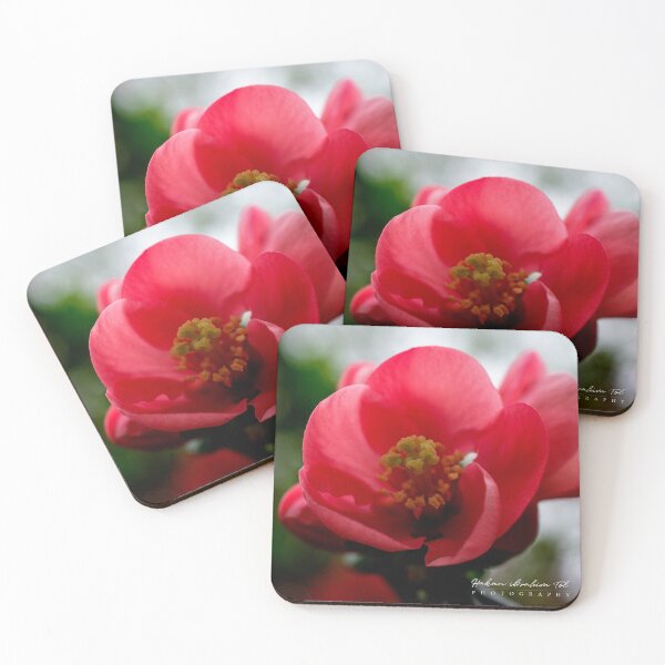 Item preview, Crimson Whisper | Red Blossom Macro Elegance designed and sold by DrTol.