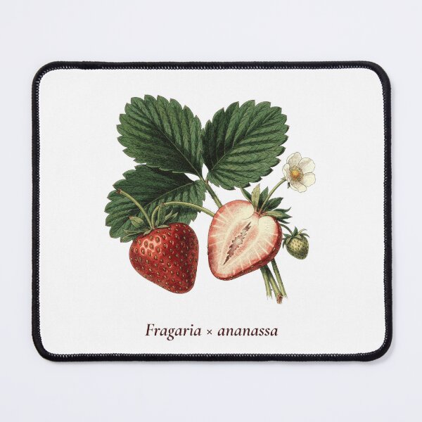 Item preview, Strawberry Botanical T-Shirt | Fragaria ananassa Vintage Illustration | Berry Lover Gift designed and sold by Panom Suavichien.