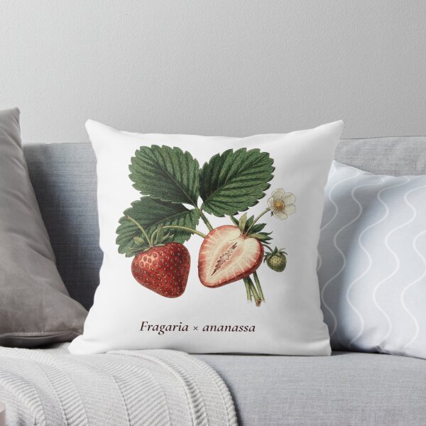 Item preview, Strawberry Botanical T-Shirt | Fragaria ananassa Vintage Illustration | Berry Lover Gift designed and sold by Panom Suavichien.