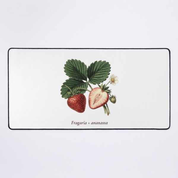Item preview, Strawberry Botanical T-Shirt | Fragaria ananassa Vintage Illustration | Berry Lover Gift designed and sold by Panom Suavichien.