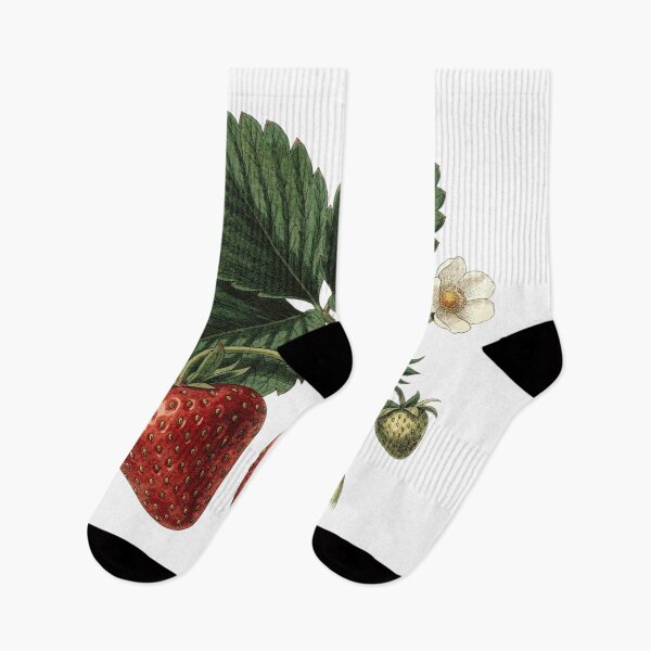 Item preview, Strawberry Botanical T-Shirt | Fragaria ananassa Vintage Illustration | Berry Lover Gift designed and sold by Panom Suavichien.