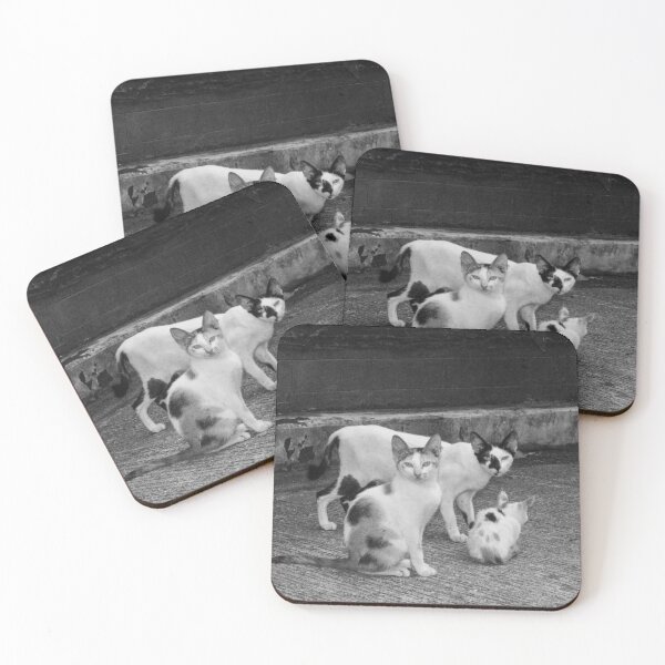 Item preview, B&W -  Cats designed and sold by ROSE ANN BANILAR.