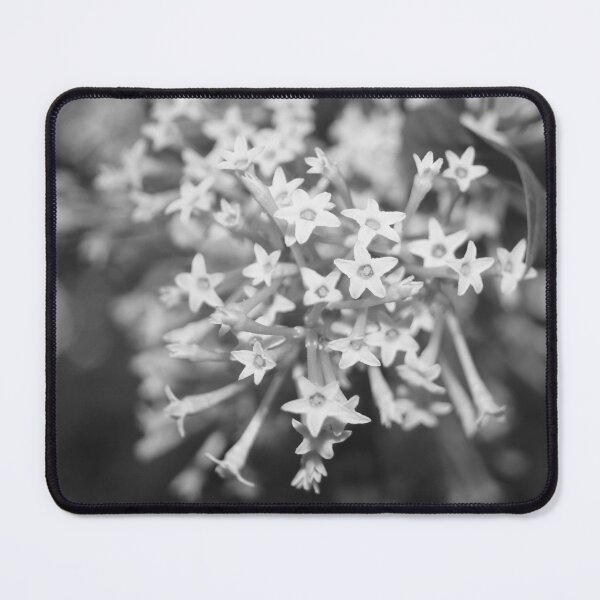 Item preview, Night-blooming Jasmine designed and sold by ROSE ANN BANILAR.