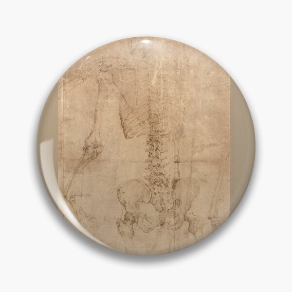 Item preview, Upper Half of Skeleton from the Back by Battista Franco designed and sold by Amanda1775.