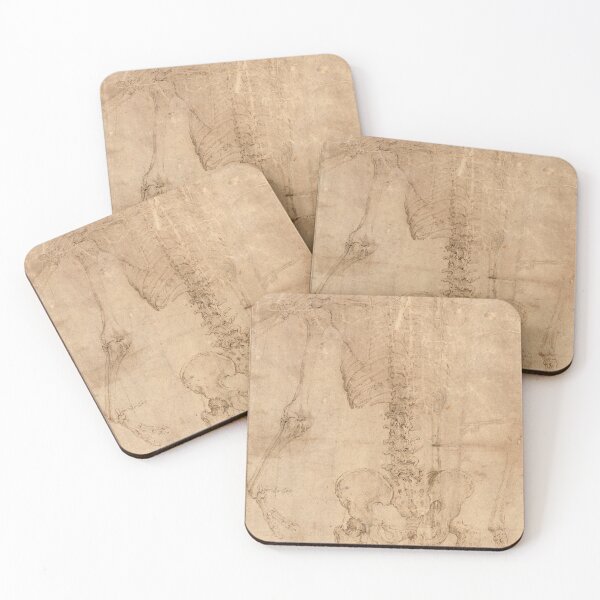 Item preview, Upper Half of Skeleton from the Back by Battista Franco designed and sold by Amanda1775.