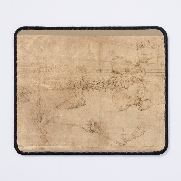 Item preview, Upper Half of Skeleton from the Back by Battista Franco designed and sold by Amanda1775.