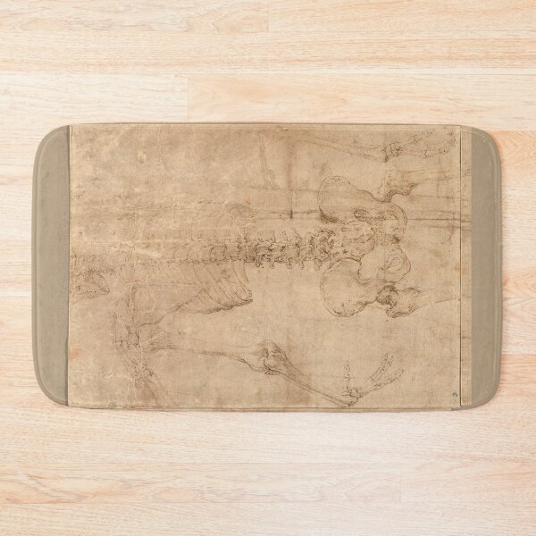Item preview, Upper Half of Skeleton from the Back by Battista Franco designed and sold by Amanda1775.