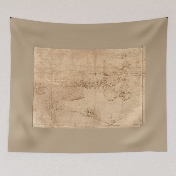 Item preview, Upper Half of Skeleton from the Back by Battista Franco designed and sold by Amanda1775.