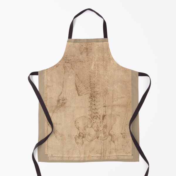 Item preview, Upper Half of Skeleton from the Back by Battista Franco designed and sold by Amanda1775.