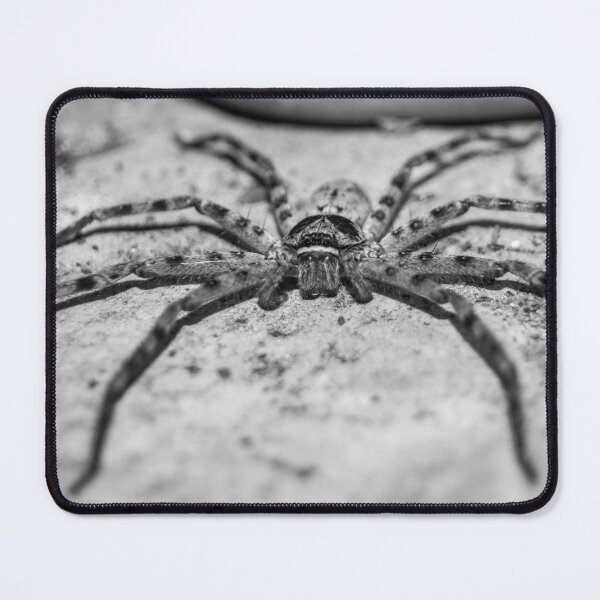 Item preview, Huntsman Spider designed and sold by ROSE ANN BANILAR.