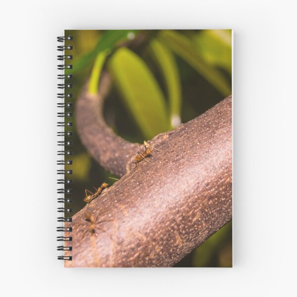 Item preview, Weaver Ants on a Wood designed and sold by ROSE ANN BANILAR.