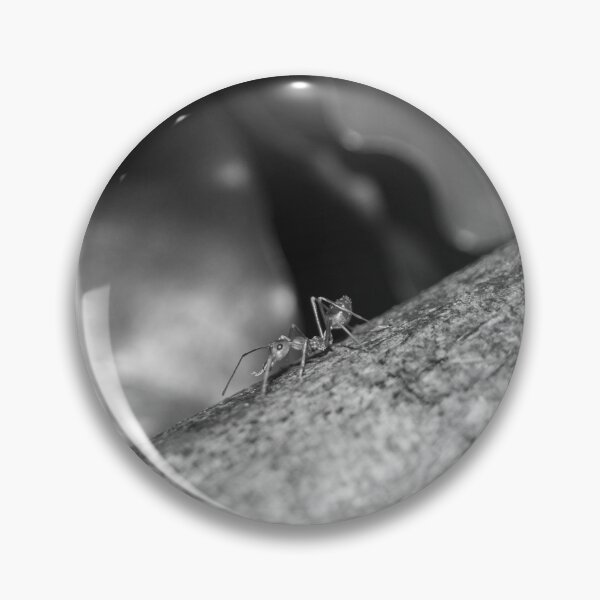 Item preview, B&W - Weaver Ant on a Wood designed and sold by ROSE ANN BANILAR.