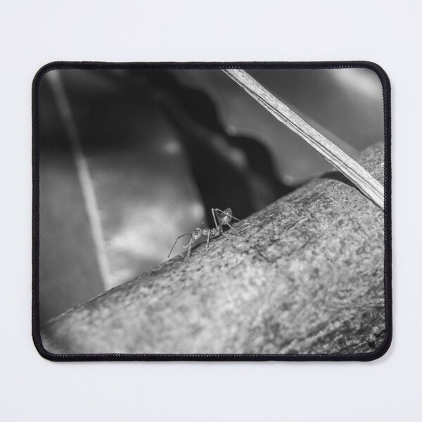 Item preview, B&W - Weaver Ant on a Wood designed and sold by ROSE ANN BANILAR.