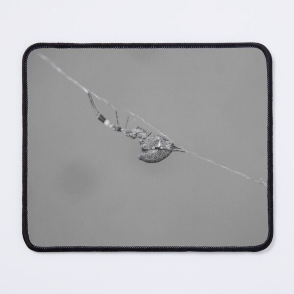Item preview, Uloborus designed and sold by ROSE ANN BANILAR.