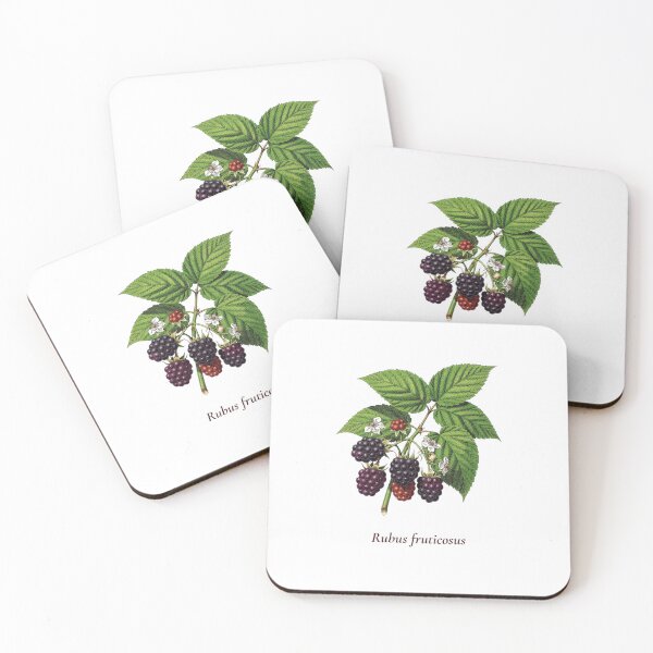 Item preview, Blackberry Botanical T-Shirt | Rubus fruticosus Vintage Illustration | Berry Lover Gift designed and sold by Panom Suavichien.